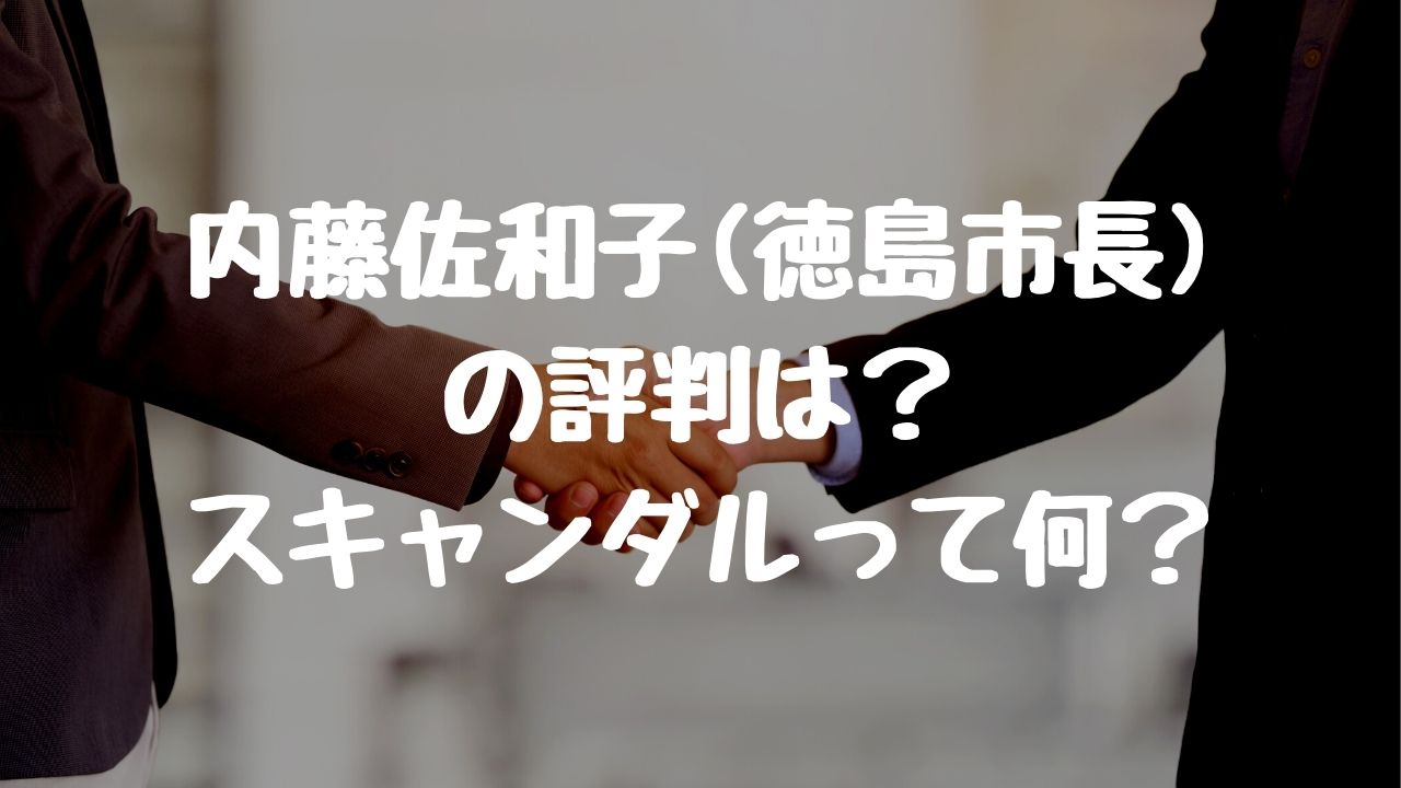 内藤佐和子 徳島市長 の評判は スキャンダルやリコールで最悪か のぼせもん