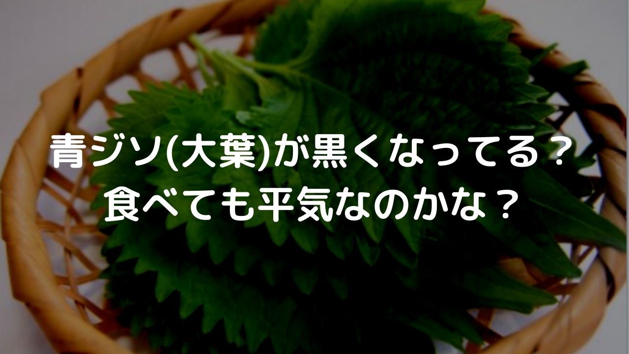 青じそ 大葉 が黒くなるけど食べても平気 変色させない保存法 のぼせもん 青じそ 大葉 が黒くなるけど食べても平気 変色させない保存法 のぼせもん